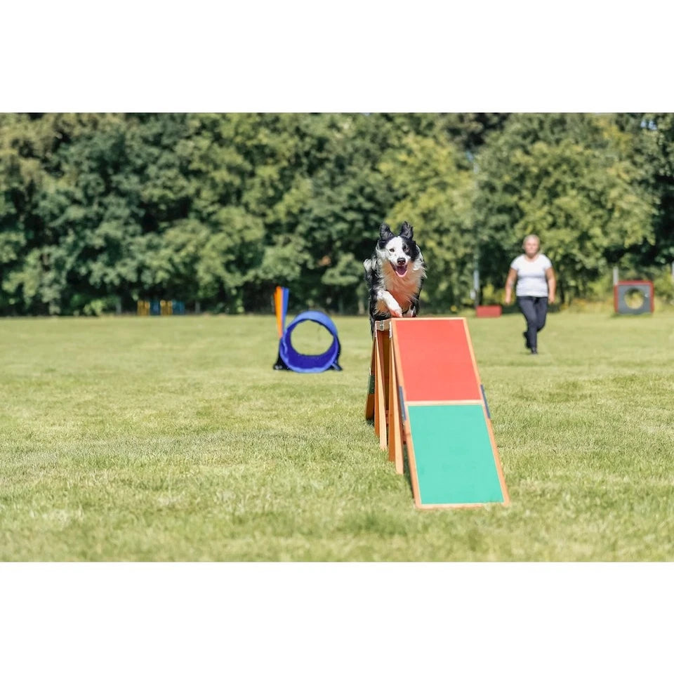 Dog Agility Training Toy | 15FT Obstacle Training Equipment | Supports Up to 175 lbs | Pet Exercise and Behavior Training