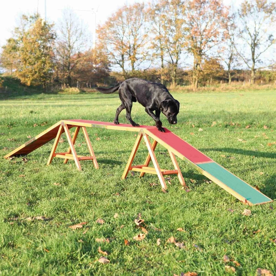 Dog Agility Training Toy | 15FT Obstacle Training Equipment | Supports Up to 175 lbs | Pet Exercise and Behavior Training